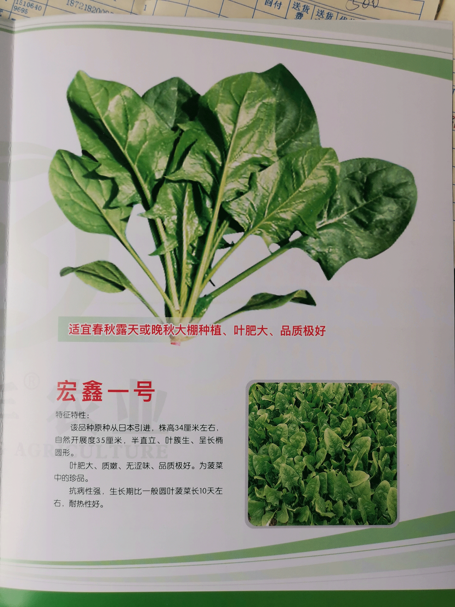 一號.png